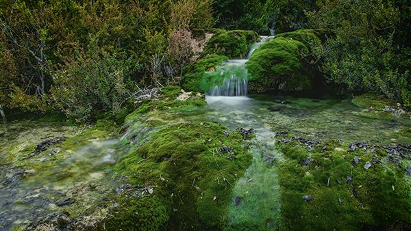 El FESCIGU estrena el documental El agua secuestrada