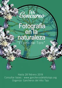 La Asociación de Municipios Gancheros del Alto Tajo convoca el concurso fotográfico El pino del toro