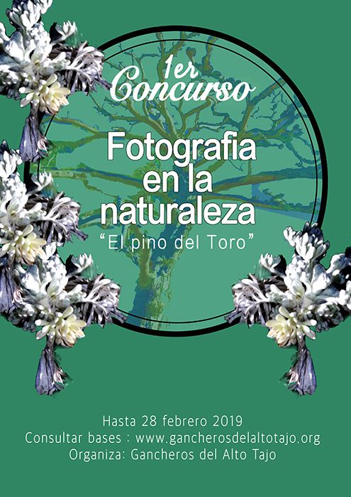 La Asociación de Municipios Gancheros del Alto Tajo convoca el concurso fotográfico El pino del toro