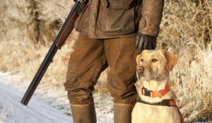 La RFEC, las FFAA, ONC y APROCA no estarán en la manifestación del 3 de marzo por su responsabilidad y compromiso con el sector cinegético y el mundo rural