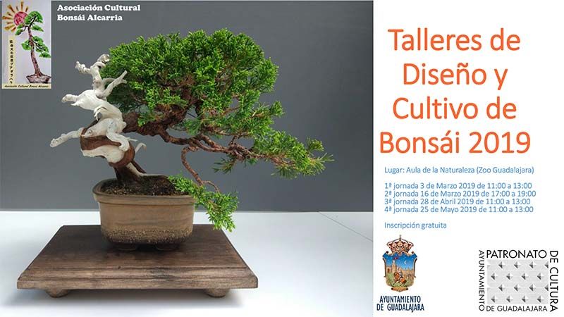 Talleres de Diseño y Cultivo de Bonsái