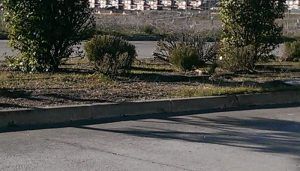 Yolanda Ramírez expresa su satisfacción por el arreglo y limpieza de la zona ajardinada de la Avenida de Los Arenales en El Casar 2 Yolanda Ramírez expresa su satisfacción por el arreglo y limpieza de la zona ajardinada de la Avenida de Los Arenales en El Casar