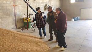 ASAJA Cuenca alerta a las Administraciones públicas y grandes superficies sobre la  situación “insostenible” del sector de la lenteja