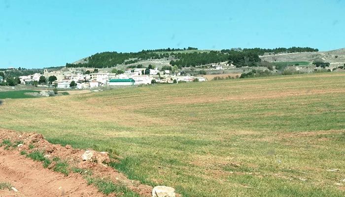 ASAJA Cuenca alerta de los efectos irreversibles de la sequía en el cereal si no llueve en unos días