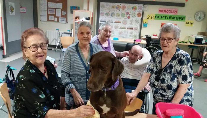 Cerca de 250 personas mayores han participado en el programa de Terapia Asistida con Perros del Gobierno de Castilla-La Mancha