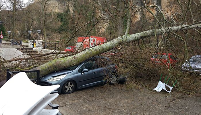 Graves destrozos en el Recreo Peral de Cuenca por la tromba de agua y el fuerte viento 1 Graves destrozos en el Recreo Peral de Cuenca por la tromba de agua y el fuerte viento