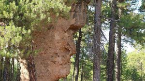 La fase regional de la X Olimpiada Española de Geología reunió en la UCLM a más de 150 preuniversitarios