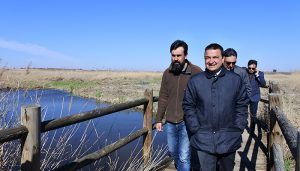La Junta colabora en un proyecto europeo para frenar el descenso del carricerín cejudo, el ave más amenazada en Europa, con presencia en Cuenca