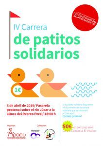 Los patitos solidarios de APACU vuelven a Mirador de Cuenca