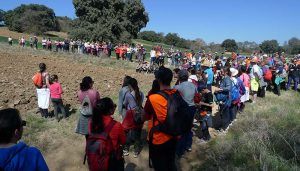 Más de 240 personas se unen en la iniciativa Campiñeando esta vez por Málaga de Fresno