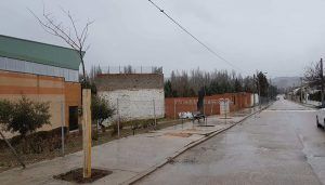 Nuevos árboles en el casco urbano de Huete