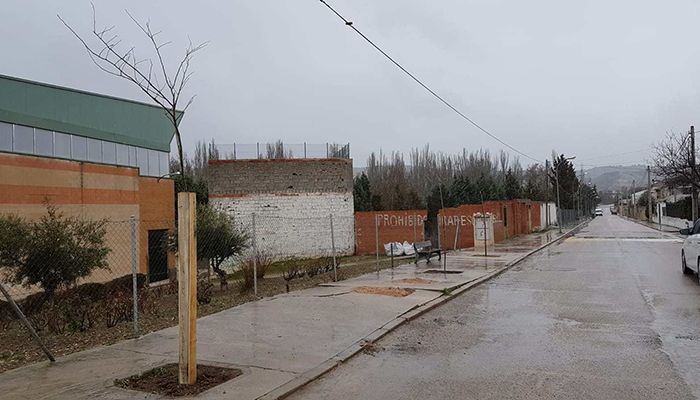 Nuevos árboles en el casco urbano de Huete