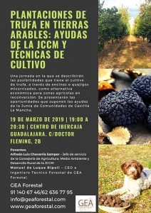 Plantaciones de encinas micorrizadas con trufa, una apuesta para reforestar terrenos agrícolas para la zona de Molina y Sigüenza