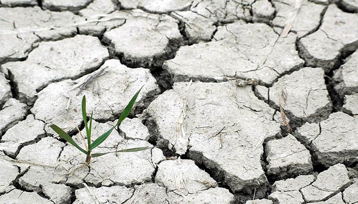 Una jornada reunirá en Cuenca a periodistas para reflexionar sobre la nueva realidad informativa de los problemas ambientales