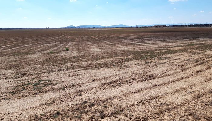 Unión de Uniones reivindica una mejor gestión de los recursos hídricos y denuncia el avance de los daños por sequía