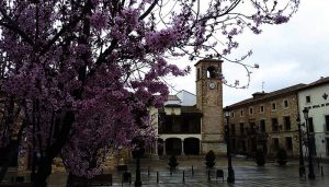 ‘La Función de Ánimas’ de Mota del Cuervo, declarada Fiesta de Interés Turístico regional 2 ‘La Función de Ánimas’ de Mota del Cuervo, declarada Fiesta de Interés Turístico regional