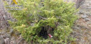 Detenidos dos cazadores furtivos que intentaron atropellar a dos guardas en un coto de Torremocha del Campo