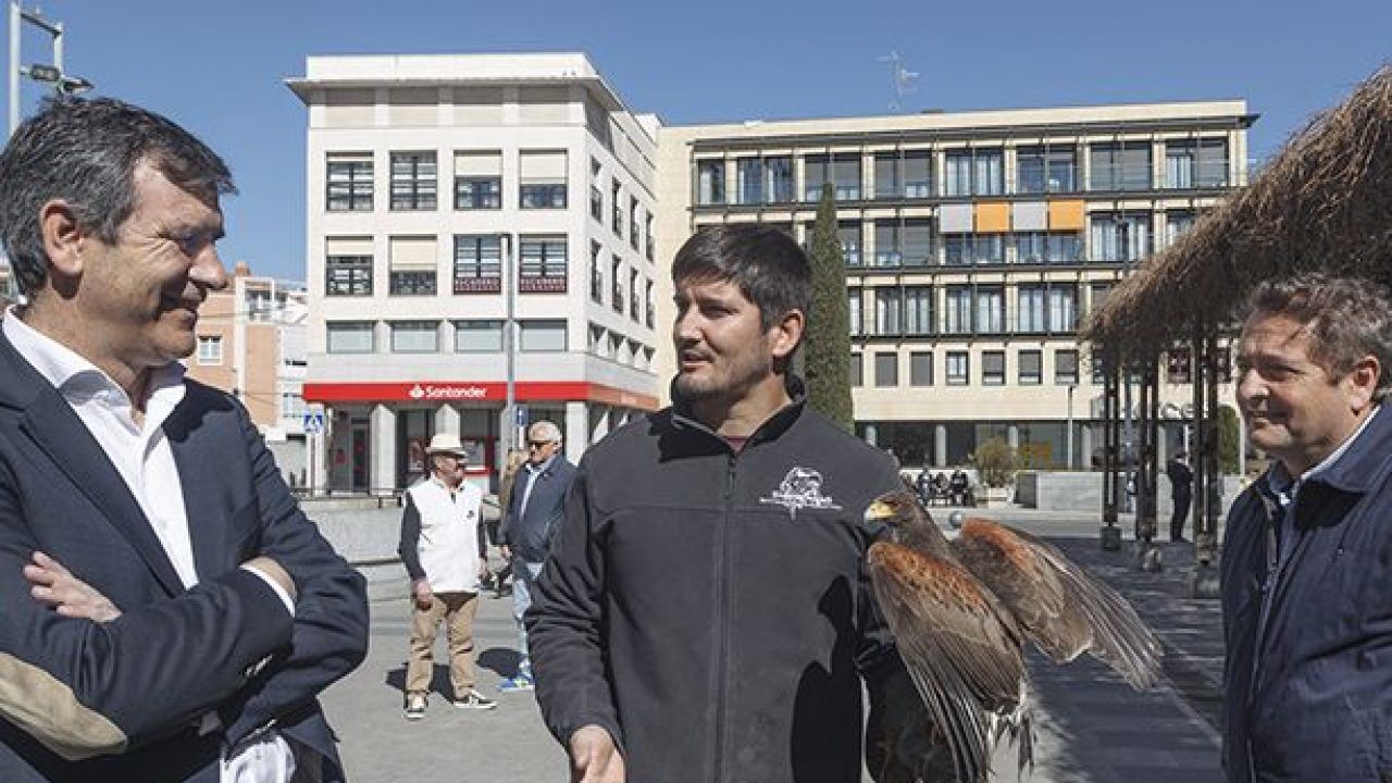 El Ayuntamiento de Guadalajara continúa con el plan de control de proliferación de aves en la ciudad para reducir sus molestias