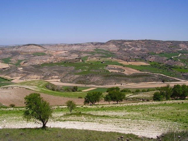 El Ayuntamiento de Huete defenderá el cultivo de la trufa en el próximo pleno