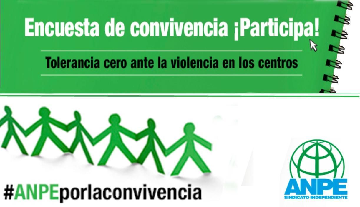 ANPE demanda más recursos para prevenir y actuar contra el acoso escolar