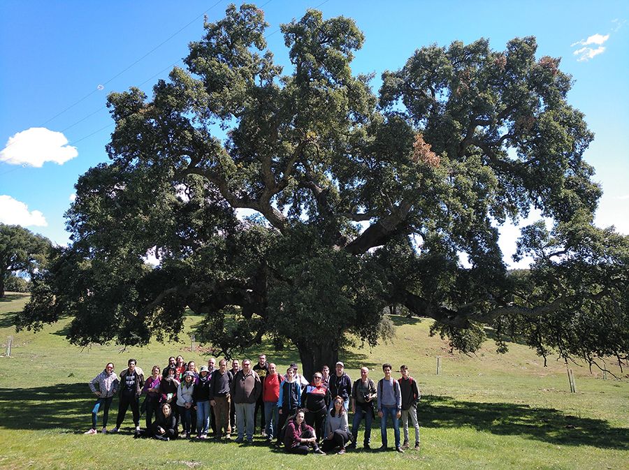 Bosque de oportunidades, un proyecto que formará a unas 150 personas sobre el medio natural y el sector forestal en la provincia de Guadalajara