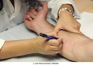 La Academia Europea de Alergia e Inmunología premia un estudio sobre veneno de himenópteros coordinado por la jefa de Alergología del Hospital de Guadalajara