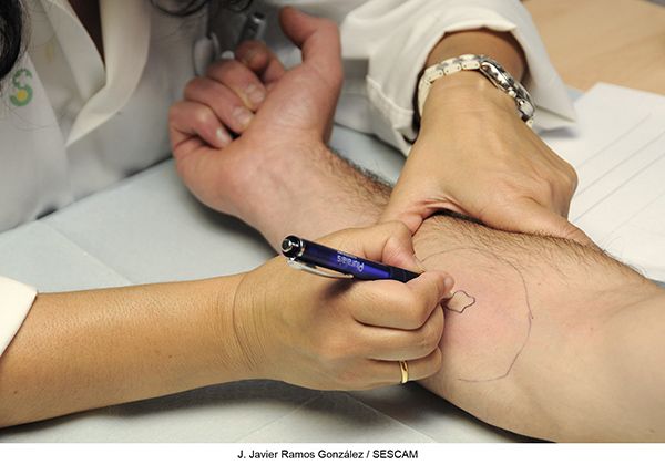 La Academia Europea de Alergia e Inmunología premia un estudio sobre veneno de himenópteros coordinado por la jefa de Alergología del Hospital de Guadalajara