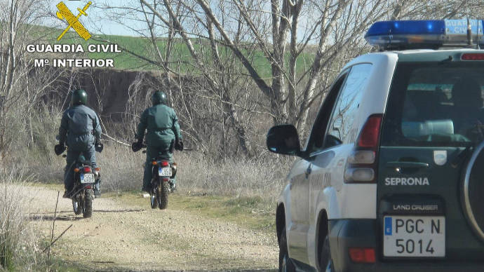 La Guardia Civil abre diligencias contra un vecino de Membrillera por cazar jabalíes donde no debía