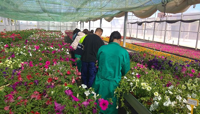 La Junta autoriza la implantación el próximo curso de cinco nuevos Programas Específicos de FP en otros tantos IES