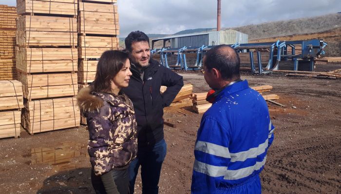 Luz Moya “Pondremos en valor nuestro extenso Patrimonio Forestal y Natural”