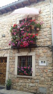 Sigüenza busca su rincón florido más bonito 2 Sigüenza busca su rincón florido más bonito