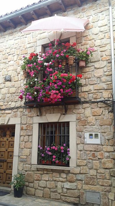 Sigüenza busca su rincón florido más bonito