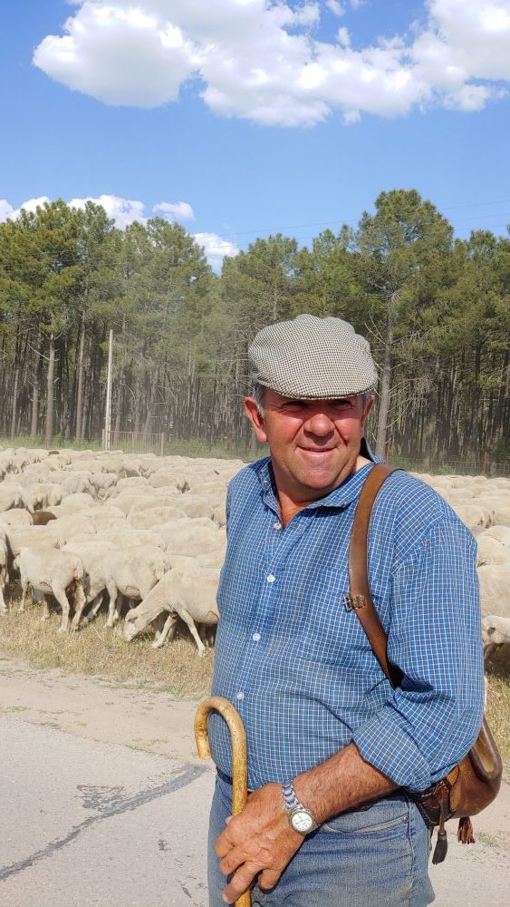 Manuel Cardo, trashumante. El problema siempre es el mismo, la falta de agua. Los ayuntamientos tendrían que ayudarnos por ley. Menos mal que las explotaciones, al lado de la Cañada, nos la dan