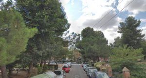 Cae un pino piñonero de grandes dimensiones sobre tes vehículos en la Ronda de San Antonio de Guadalajara