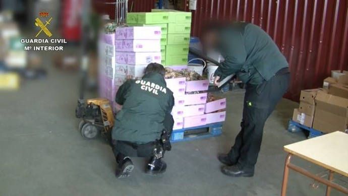 Detienen a seis personas por vender huevos procedentes de Cuenca como si fueran ecológicos sin serlo