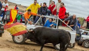 Ecologistas en Acción quiere que este año en Guadalajara se cancelen los encierros