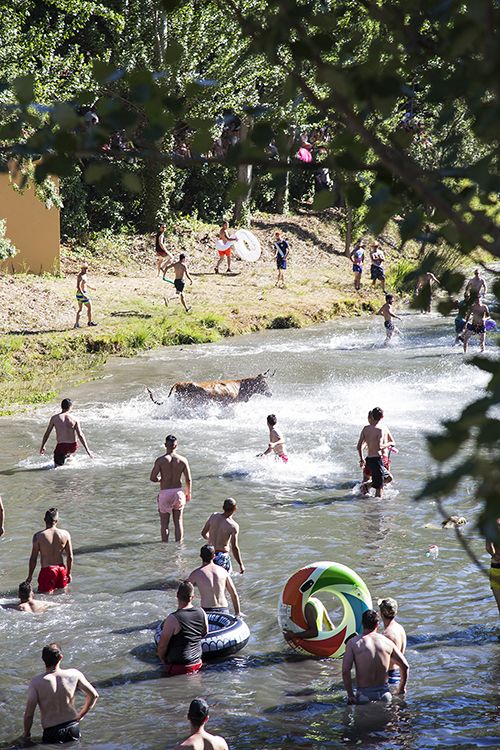 El regreso de las Vacas por el Tajo, el Tobogán Gigante XXL y un tributo a ABBA, platos fuertes de la Feria Chica trillana