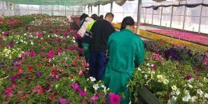 Hoy se inicia el plazo de admisión en los Programas Específicos de FP que ofertarán el próximo curso un total de 13 IES de la región 2 Hoy se inicia el plazo de admisión en los Programas Específicos de FP que ofertarán el próximo curso un total de 13 IES de la región