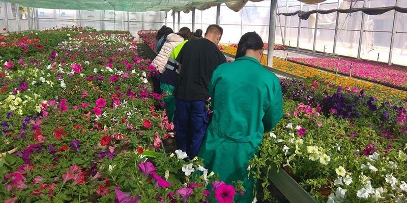 Hoy se inicia el plazo de admisión en los Programas Específicos de FP que ofertarán el próximo curso un total de 13 IES de la región