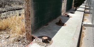 Izquierda Unida denuncia la tala indiscriminada de más de treinta cipreses en Azuqueca