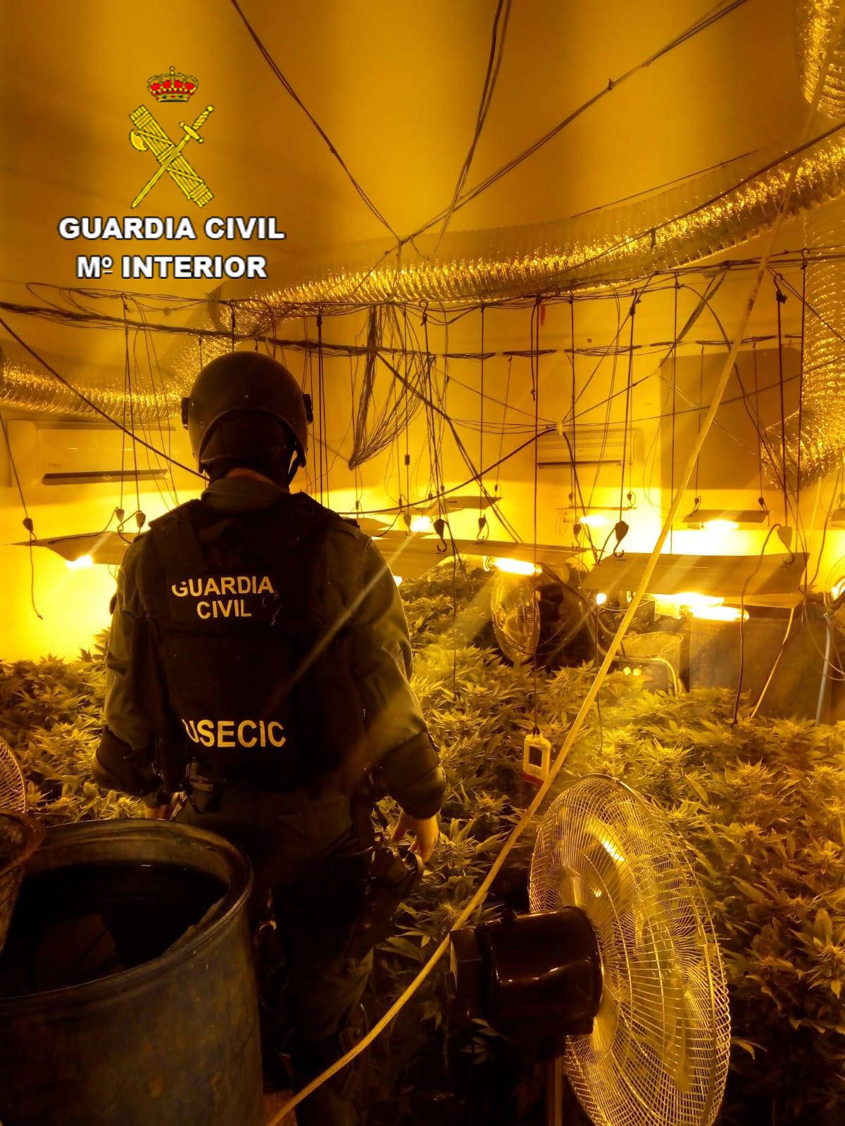 La Guardia Civil desmantela una macro plantación de marihuana en un garaje de Pioz