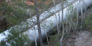 Los ribereños se hartan de excusas con un nuevo trasvase máximo e instan al Gobierno a rechazar la propuesta de los técnicos