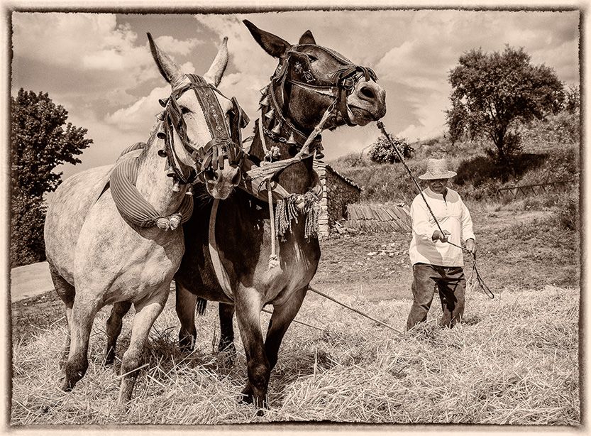 Riba de Saelices se viste como antaño por cuarta edición 3 Riba de Saelices se viste como antaño por cuarta edición