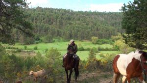 Trashumancia. La magia de la etapa del día por el Parque Natural de la Serranía de Cuenca 2 timelapse.00 01 22 11.imagen fija001