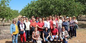 Una delegación de AMFAR Valencia visita Ciudad Real y Toledo para conocer el cultivo del pistacho