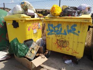 CONTIGO Somos Democracia de El Casar-Mesones exige medidas de desratización, control y prevención ante el incremento de ratas en el municipio