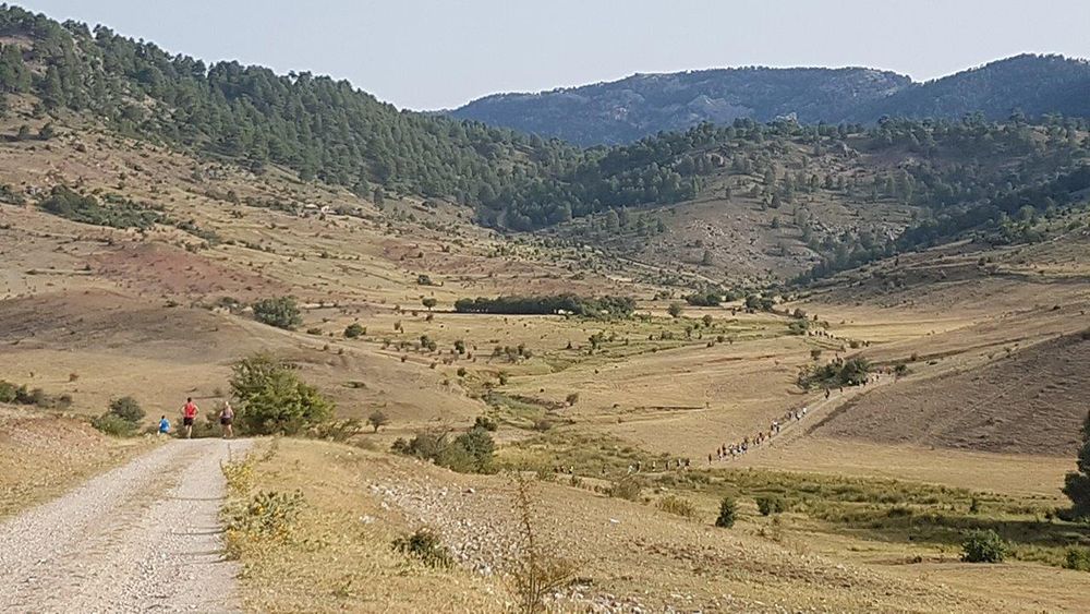 Arantxa Martínez y Javier Triguero se imponen en la Media Maratón de San Felipe