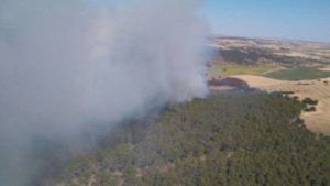 Cinco medios y 21 personas luchan contra el fuego en un incendio declarado en un pinar en Carrascosa
