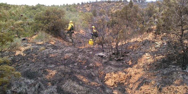 Cinco medios y 22 personas luchan contra el fuego en Sigüenza