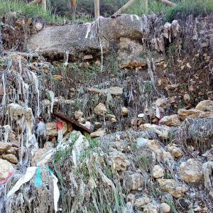 Cuenca, En Marcha! preguntará al alcalde sobre los residuos hospitalarios aparecidos en el Júcar